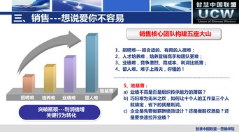 新媒體沖擊下的全網(wǎng)營(yíng)銷實(shí)戰(zhàn) 智慧中國(guó)聯(lián)盟廈門信息技術(shù)咨詢服務(wù)的探索