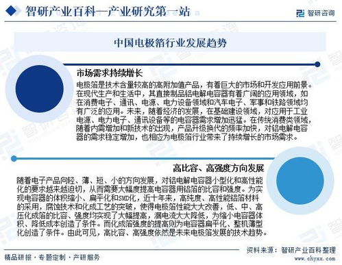 電極箔產(chǎn)業(yè)發(fā)展歷程、競(jìng)爭(zhēng)格局與市場(chǎng)前景研究